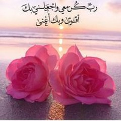 زهرة فلسطين