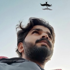 SyedAbbasAliRizvi