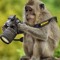 Drip Monke