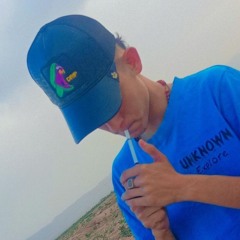 amir Bardia
