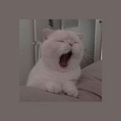 Lê Hồng Phúc Lộc