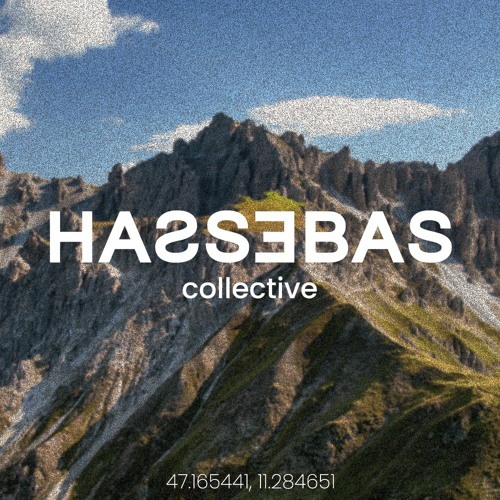 Hassebas Collective’s avatar