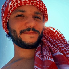 Amr Elsehemy