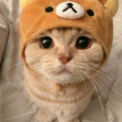 cherry <3