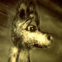 lolliretta cuoricino