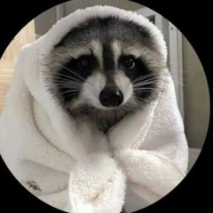 trash panda