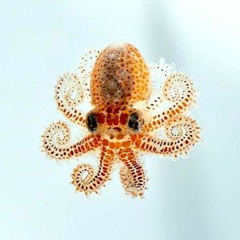 Giliane