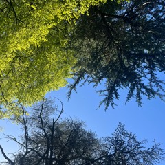 Parking Lots - Live at Carrhaus