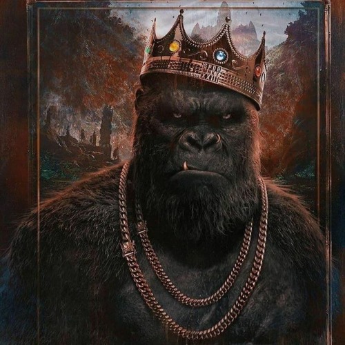 gorillaboiii’s avatar
