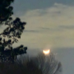 freestyle prod bbmonsterdd