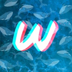 Wavywhale