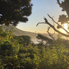 Reinier Daniel Heyden