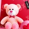 Teddy Word