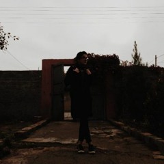 Dicle Akay