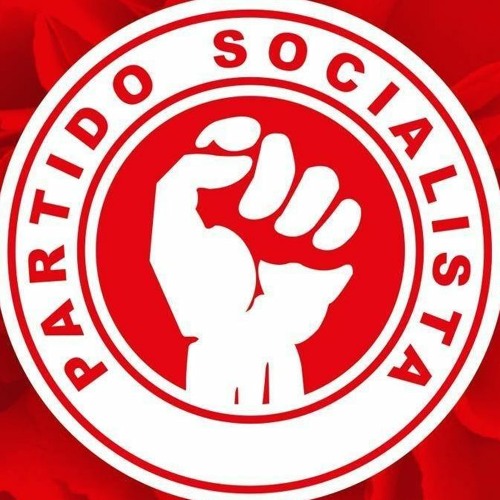 Partido Socialista’s avatar
