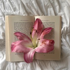 ❣️