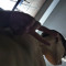 arantes fxp