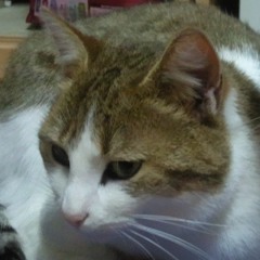 Neuf