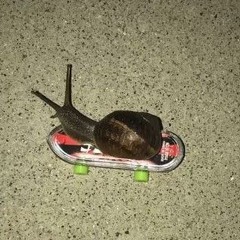 ?