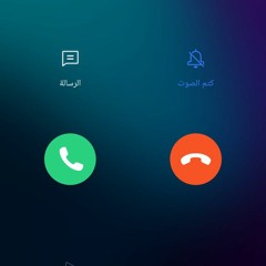 Adham Alsharkawy
