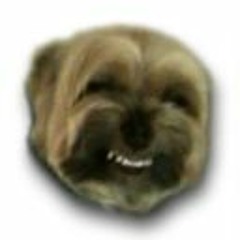 Dupin