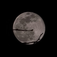Moon 13