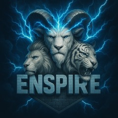 ENSPIRE EMPIRE LLC