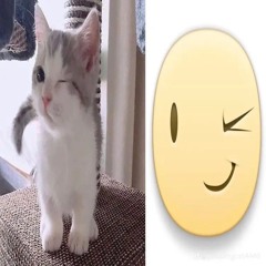 don0tevrmournm3