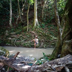 Ishima ishima-Saiti Yawanawa versione Yskunvasi Yawanawa.m4a