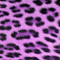 PinkLonely