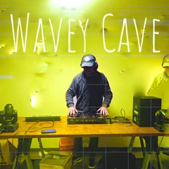 googly moogly - Wavey Cave flip