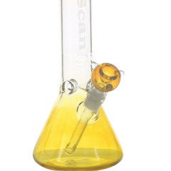 Banquet to the Stars