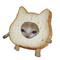 ToastyOastyOats