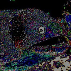 deathNodOfTheEel