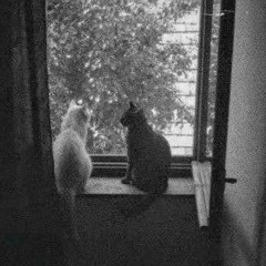 엘릭스.. 🦴