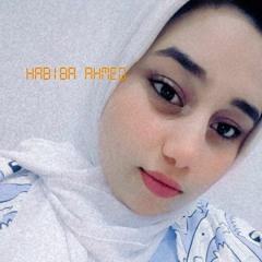 alaa ahmed