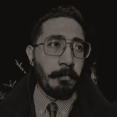 Noir Fitzgerald