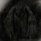 #kurxxed_wingxx♱