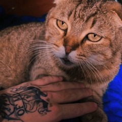 Bogdan