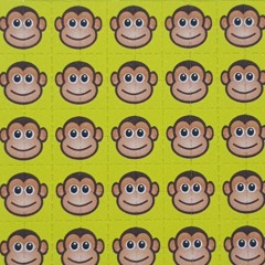 cbd monkey