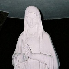 Bxnjx_2009