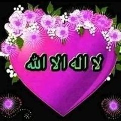 الفراشه الحالمه