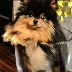 yeontan^^