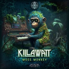 Killawatt / Particular