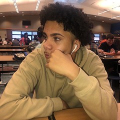 Brian Tapia Carvajal