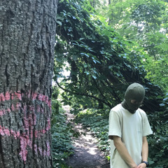Stussy