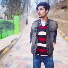 سیّد حسن رضا رضوی 🍁🔥