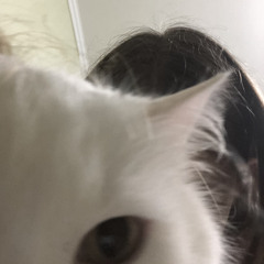 xio
