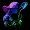 Mr cool guy