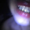 Amelee